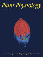 issue cover