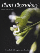 issue cover