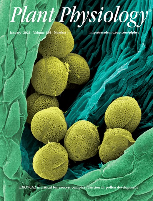Volume 185 Issue 1 Plant Physiology Oxford Academic volume-185-issue-1-plant-physiology-oxford-academic
