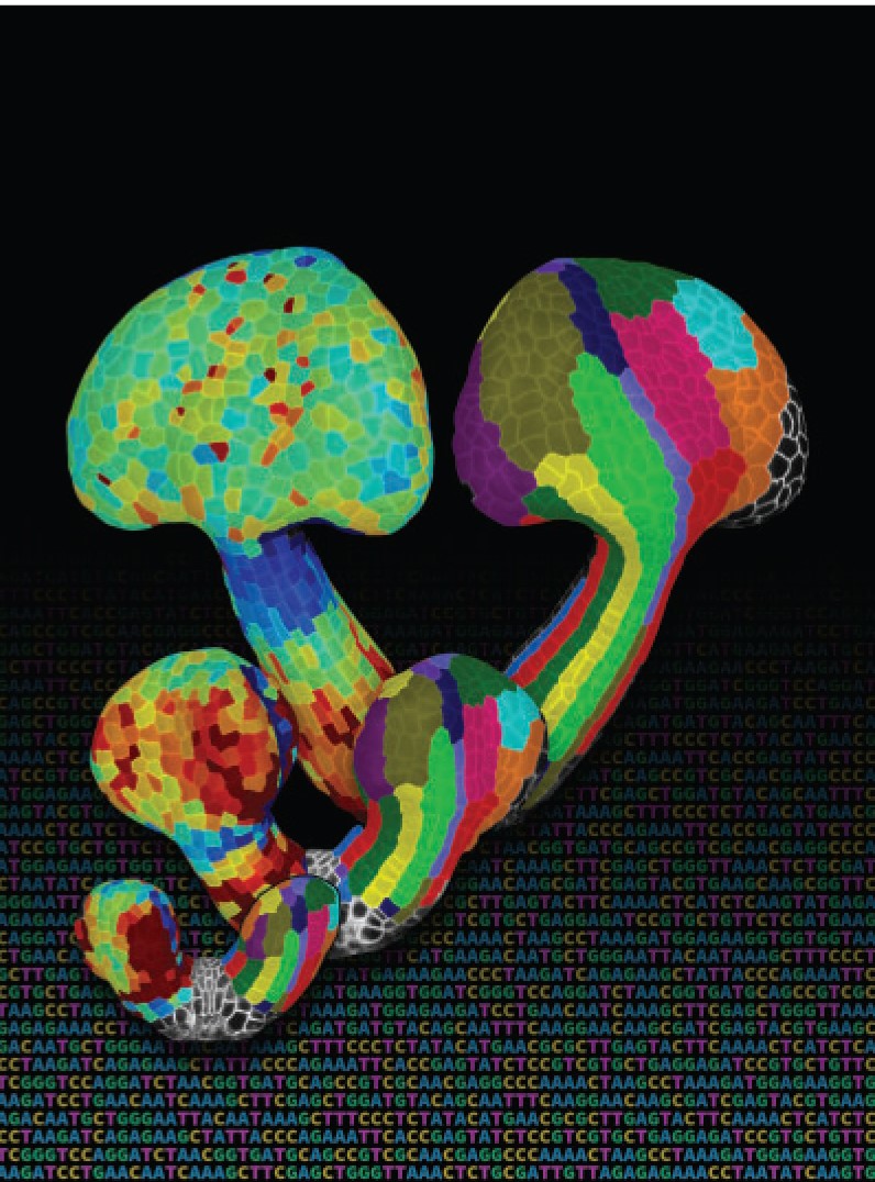 issue cover