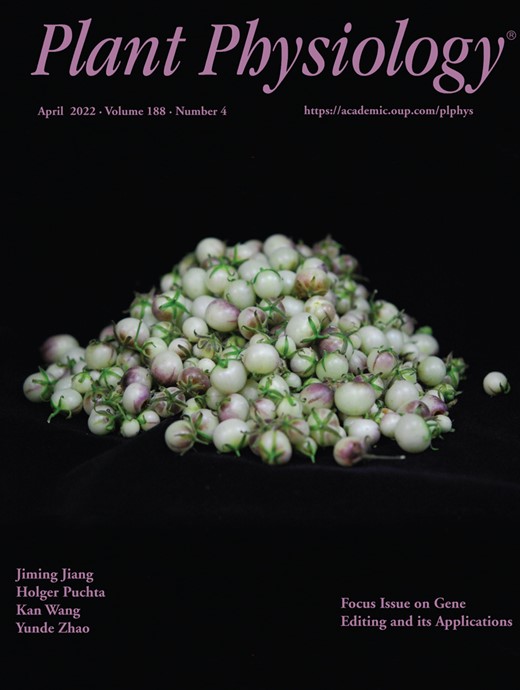 Plant Physiology Cover Image for Volume 188, Issue 4