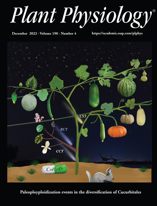 Plant Physiology Cover Image for Volume 190, Issue 4