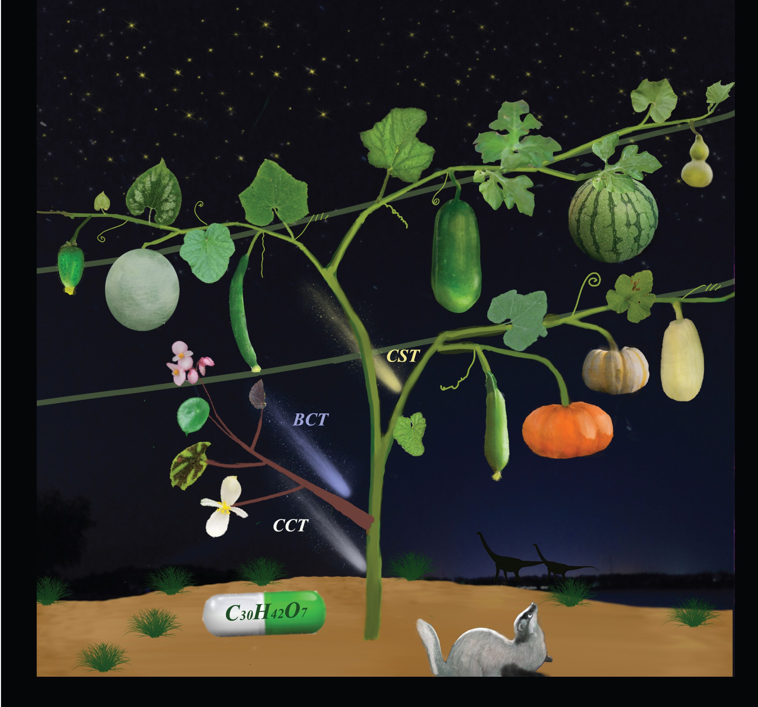 issue cover
