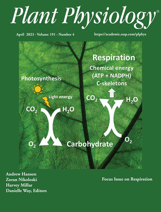 Plant Physiology Cover Image for Volume 191, Issue 4