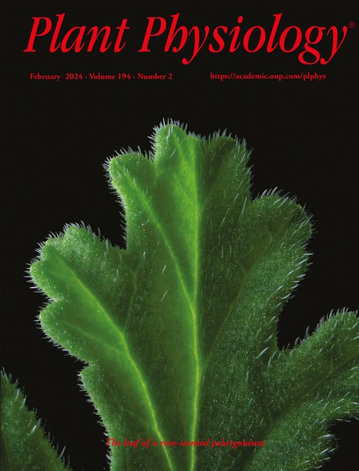 Plant Physiology Cover Image for Volume 194, Issue 2