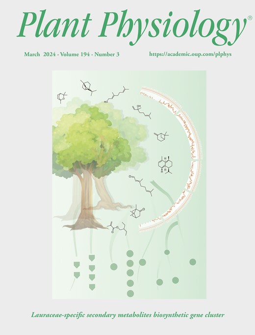 Plant Physiology Cover Image for Volume 194, Issue 3