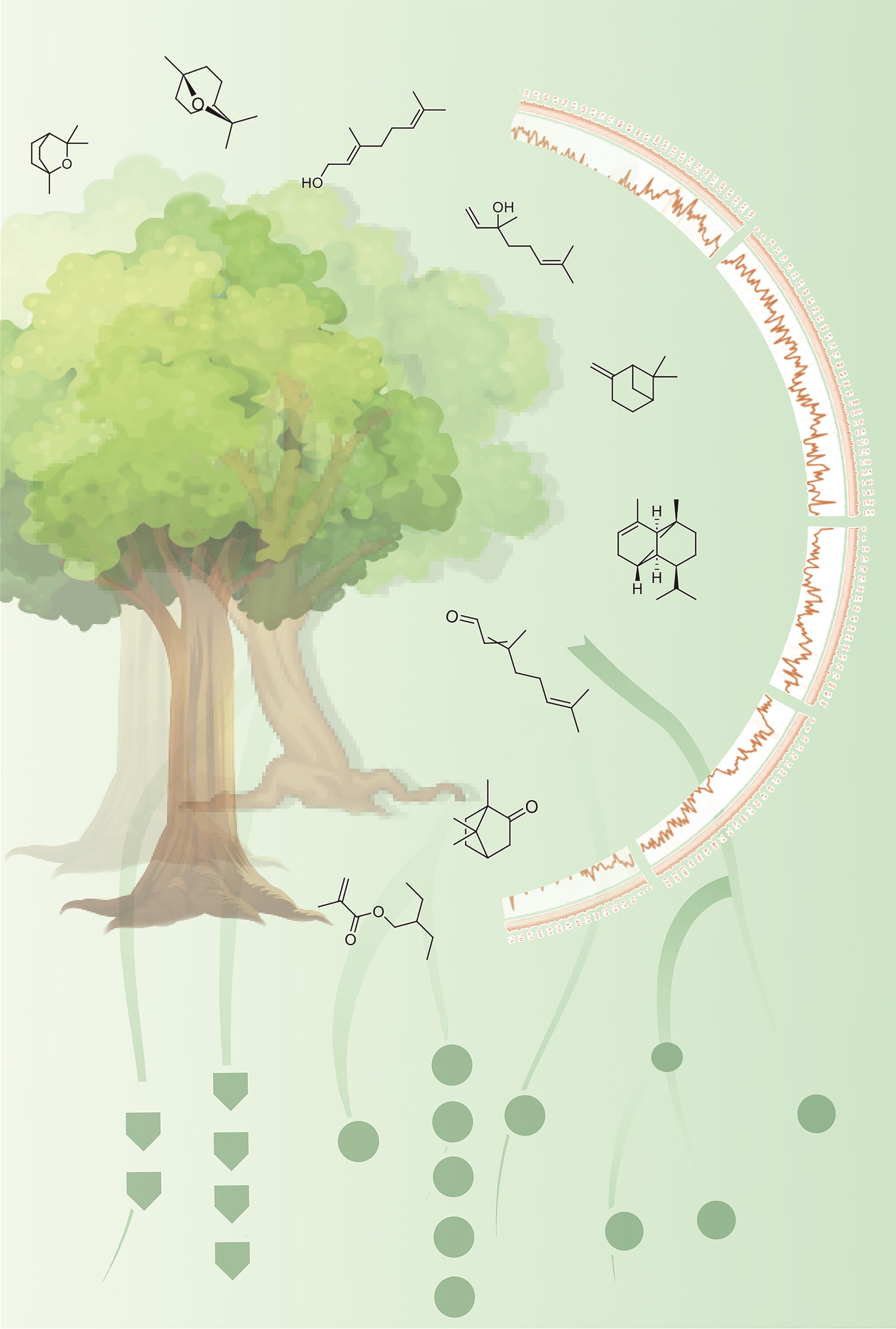 issue cover