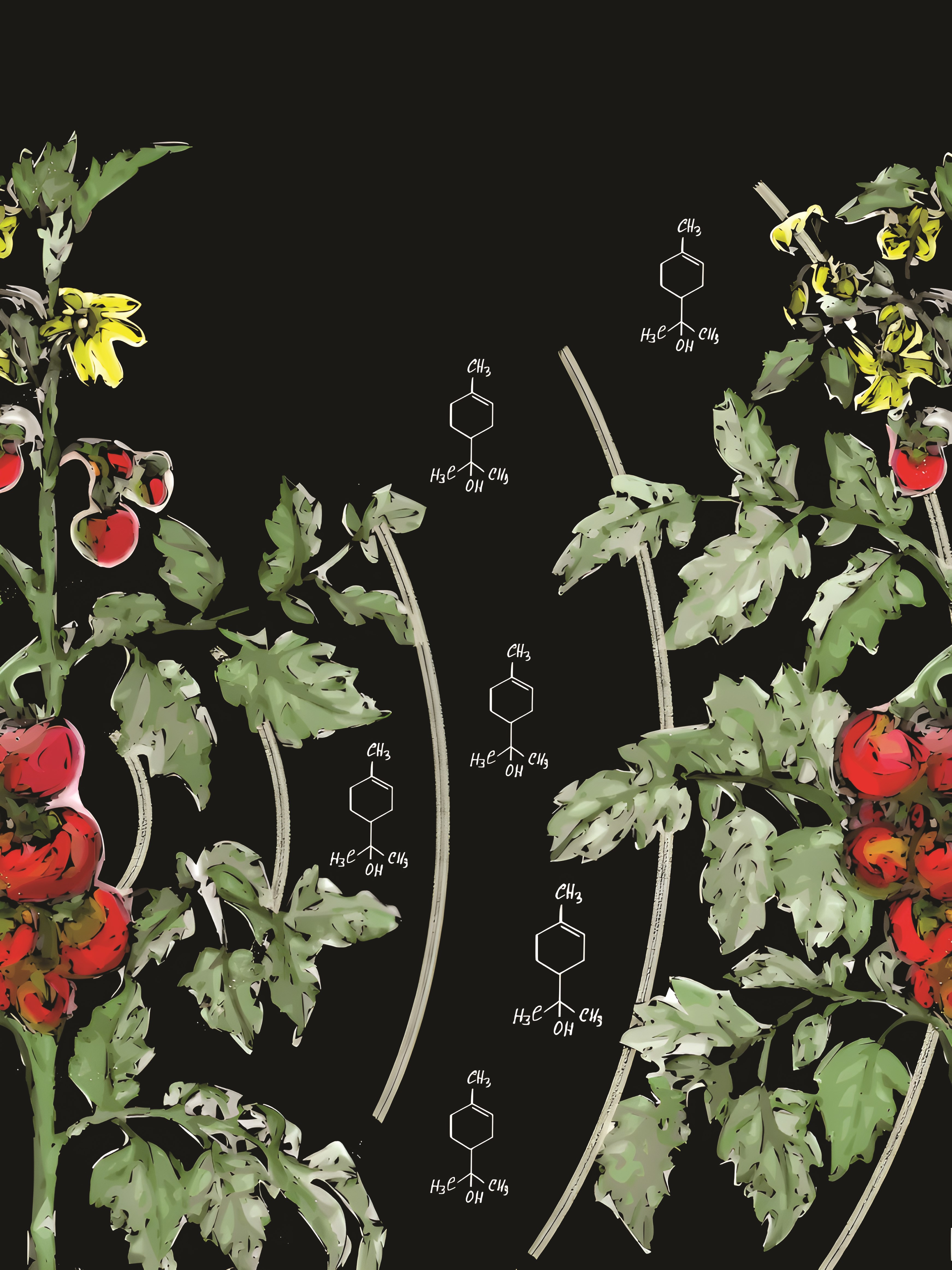 issue cover