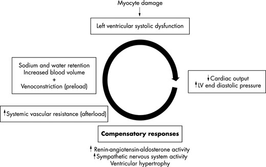 The chronic heart failure cycle.