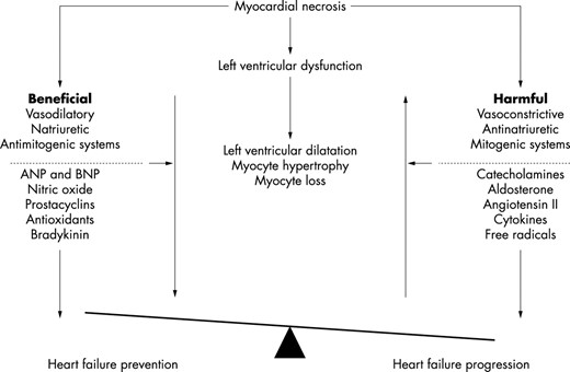Neurohormonal balance and chronic heart failure (ANP, atrial natriuretic peptide; BNP, brain natriuretic peptide).