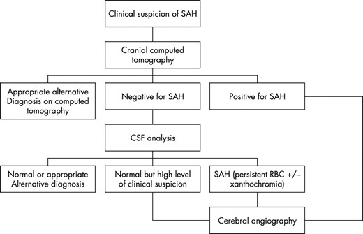 Summary of the Guidelines of the Society of British Neurological Surgeons.