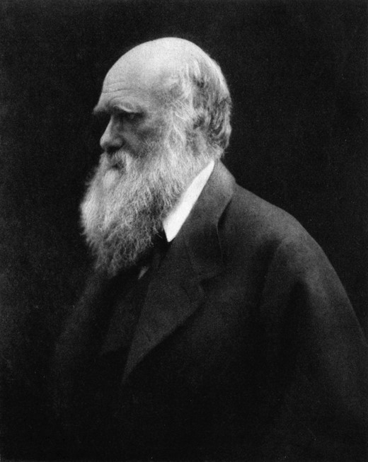 Charles Darwin (author: Julia Margaret Cameron; Reprinted in Charles Darwin: His Life Told in an Autobiographical Chapter, and in a Selected Series of His Published Letters, edited by Francis Darwin. London:John Murray, Albemarle Street. 1892. Scanned by User: Davepape; public domain: https://commons.wikimedia.org/w/index.php?curid=3560761).