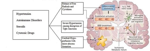 A representational diagram showing the pathophysiology of PRES. PRES, posterior reversible encephalopathy syndrome.