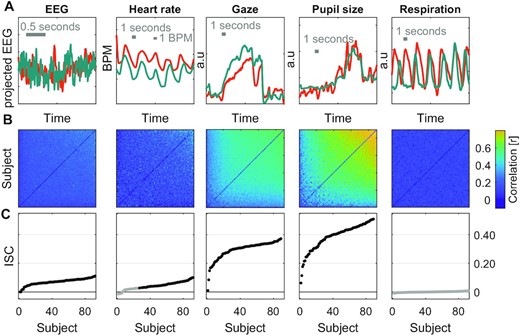 Program Common Stimuli Cognitive processing of a common stimulus synchronizes brains, hearts ...