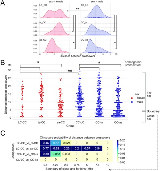 The Frequency of COs and the distance between COs. CO to CO distance distribution displayed as (A) Kernel Density Estimation and (B) swarm plots, using in 1 Mb units. Knock out of ASY1 is associated with reduced distance between COs. C. Chi-square probability for comparison of close vs. far binned CO–CO distances. The respective upper limit of the close bin varies and is shown below each column of P values. Yellow denotes significant difference by the Chi square test. Note that significance for the ta-CC cross was caused by an increase of the distant CO class, as opposed to an increase in the number of close COs, as observed in the aa crosses. Significance thresholds: * <0.05, ** <0.01.