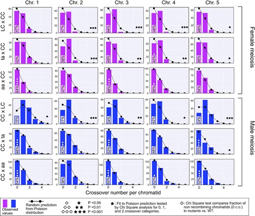 Comparison of CO numbers per chromatid in WT and asy1 mutants. The bar plots illustrate the count of chromatid classes for given genotypes and chromosomes. Pink and blue bars are for female and male meiosis, respectively. The random expectation according to the Poisson distribution is displayed by the black line with round black circles. The star markers display significance of the random fit (low P corresponds to significant deviation). Note that almost all chromosomes for both test crosses significantly deviate from a random distribution while all asy1 null mutants and most of the asy1 hypomorphic mutant show a pattern that matches a poisson distribution. The % of the 0 CO chromatid class is displayed inside the 0 CO bar. For this fraction of 0 CO chromatids, the P of the Chi Square comparison with WT values is marked with diamonds (low P corresponds to significant deviation). The exact number of instances in each category can be found in Table S6.