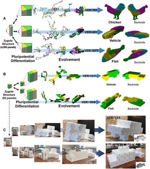 Algorithmic results of the pluripotent evolving structure and its demonstration with magnets. A) The coded sequences generated by the tree-stacking algorithm can guide the zygote structure (i.e. compactly stacked panels) into diverse 3D structures, such as a chicken, a vehicle, and a fish. When the length of each panel is 100 times the thickness (L = 100 × t), the package volume expansion ratio (VER) is 791, 437, and 1,077 for each model (see Fig. S8 for a further explanation of VER). B) We simply demonstrated our pluripotent evolving structure with 92 panels. A zygote structure can evolve (i.e. deploy) into a vehicle and fish model, each having 13.7 and 15.6 of VER (L = 20 × t) according to the coded sequences. C) We could simply demonstrate it with plastic panels by attaching triangular or rectangular magnets on the side of the panels (see Movie S5). The final structures were robust and reliable without collapse, especially even for the vehicle structure in which only four panels were placed on the ground.