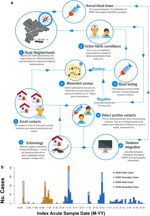 Quantifying DENV transmission heterogeneity. (a) The contact-cluster study design incorporated data from active surveillance in Iquitos, Peru, with two entomological surveys to quantify the offspring distribution of DENV infections. (b) Temporal distribution of the 253 index cases and their associated secondary cases by serotype.