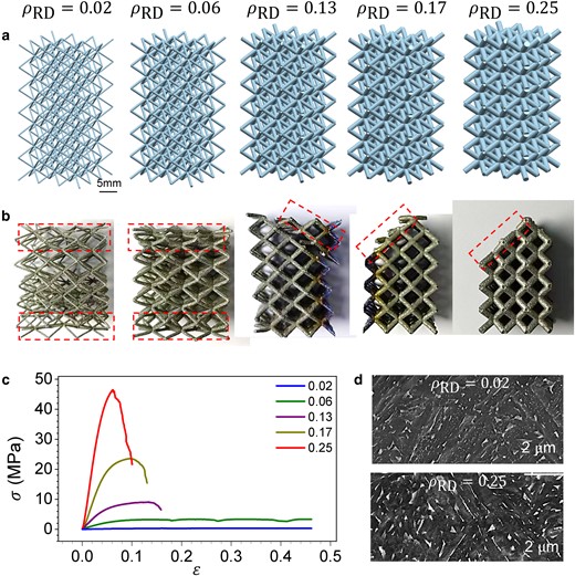 (a) Computer-aided design (CAD) models of BCC lattices with five relative densities. (b) Failure modes of each BCC Ti-6Al-4V lattice after compression. (c) Representative compressive stress–strain curves for each BCC Ti-6Al-4V lattice. PYS occurred with ρRD=0.13−0.25. (d) Microstructures of lattice struts with ρRD=0.02 and ρRD=0.25.