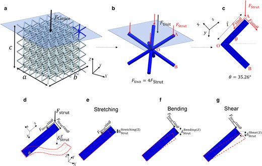 Deformation by concurrent stretching, bending, and shear in a BCC lattice. (a) A BCC lattice under compression by FLattice. (b) A BCC unit cell in (a) under compression by FUnit. (c) The force FStrut applied to strut AO in (b), where FUnit=4FStrut. (d) Strut AO before and after deformation by concurrent stretching (e), bending (f), and shear (g). (e–g) illustrate the force components responsible for stretching along the strut axis (FStutsinθ) (e), bending (FStutcosθ) (f), and shear (FStutcosθ) (g). Figure 4 is adapted from Ref. (21).