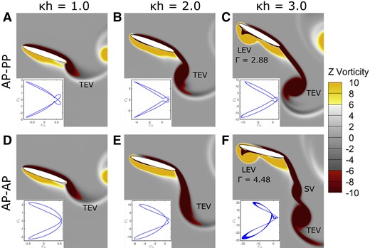 Near-field vorticity contours at a typical time instant of t/T=50.0 when the foil completed the upstroke and about to commence downstroke in a typical flapping cycle. Γ indicates the strength of LEV in terms of its circulation. SV, secondary vortex. Inset box in each of the frames represents the corresponding CL−CD phase portrait. A–C) AP–PP and D–F) AP–AP foil at different κh values.