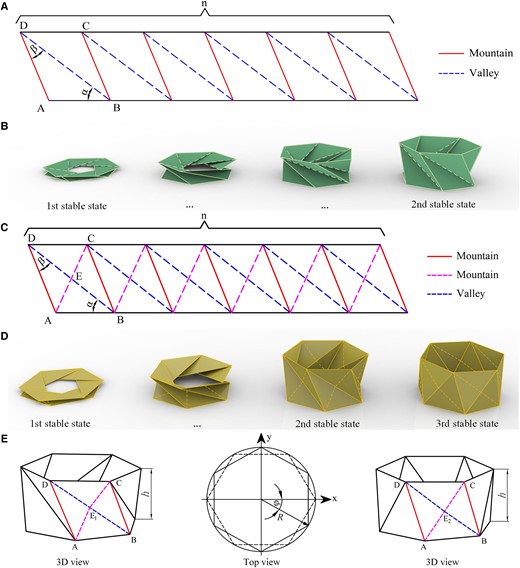 Geometry of the TCO and MTCO. A) The flat sheet with crease patterns consisting of mountain crease and valley crease lines of the TCO. B) Folding motion of the TCO, demonstrating two stable states. C) The flat sheet with crease patterns consisting of mountain crease and valley crease lines of the MTCO. D) Folding motion of the MTCO, demonstrating three stable states. E) The geometrical parameters of the MTCO during the folding motion.