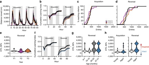 Cognitive heterogeneity reveals molecular signatures of age-related impairment