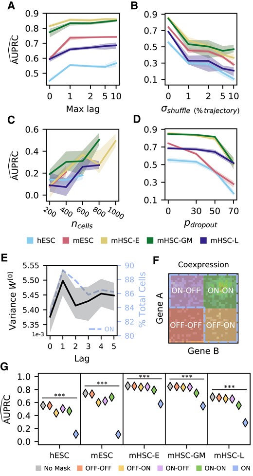 The neural network relies on cell order in pseudotime and gene expression strength. A) Training new models of DELAY on increasing numbers of pseudotime-lagged matrices gives the largest performance increase when using up to a single lag. B) Reordering single cells in pseudotime sharply decreases performance, suggesting that DELAY relies on the specific ordering of adjacent cells in each trajectory. C and D) The network is sensitive to random down-sampling of cells across data sets (C) but relatively more robust to induced, additional gene dropouts in weakly expressing cells (D), suggesting that DELAY relies heavily on highly expressing cells. E and F) The network learns larger input weights for lagged matrices of the first pseudotime lag (E), which also contain more cells in the combined “ON” region (AON∪BON; dotted outline, F) on average across training data sets (dotted line, E). The combined “ON” region is comprised of the upper-left “ON–OFF” quadrant (AON∩BOFF), upper-right “ON–ON” quadrant (AON∩BON), and lower-right “OFF–ON” quadrant (AOFF∩BON). G) Masking different regions of the input matrices shows that the network relies heavily on the combined “ON” region. The lines and shaded regions in A–E) show the average and full range of values across five model replicates, and the markers in G) show the average values across model replicates. The statistical significance in G) was assessed with a Kruskal–Wallis test (***P ≤ 0.001).
