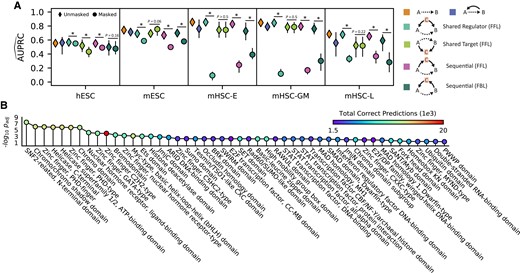 DELAY uncovers causal, cyclic, and context-specific gene-regulatory relationships. A) The network's performance when inferring putative transcription factor-target gene pairs across two- and three-gene motifs in the validation set suggests that DELAY can distinguish between different types of hierarchical and cyclic gene regulation. Upon exclusion of one or more neighbor genes C from the input features of the validation examples, the network's performance declines significantly if C is a shared or sequential regulator of A and B, but not if C is a shared target. B) GO-term enrichment indicates that DELAY performs best on zinc-finger proteins (PHD-type, GATA-type, C2H2-type, NHR-type, and C5HC2-type), bHLH factors (Myc-type), and other chromatin remodelers (SNF2-related, chromodomain, bromodomain, HDA domain, and helicase). Markers and error bars in A) show the average values and full range of performance across five model replicates. The statistical significance in A) was assessed with a one-sided Wilcoxon signed-rank test (*P ≤ 0.05) and in B) with a Fisher's exact test (Padjusted ≤ 0.05).