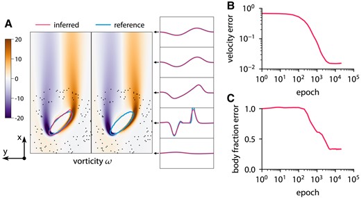 Inferring body shape from velocity measurements for a flow past an ellipse at Re=60 using ODIL. The reference solution is from the forward problem solved using ODIL. A) Inferred and reference vorticity ω overlapped by contours of body fraction χ=0.5. The velocity measurements are imposed in 100 points (black dots) chosen at a distance from the body. B) History of root-mean-square in velocity u. C) History of root-mean-square in body fraction χ normalized by the mean of reference. See Fig. S14 for visualizations of velocity u, velocity v, body fraction χ, and level-set function ϕ.
