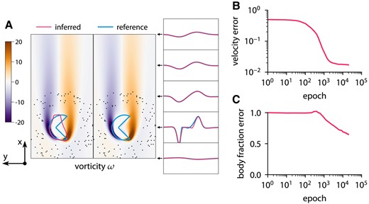 Inferring body shape from velocity measurements for a flow past a nonconvex body at Re=60 using ODIL. The reference solution is from the forward problem solved using ODIL. A) Inferred and reference vorticity ω overlapped by contours of body fraction χ=0.5. The velocity measurements are imposed in 100 points (black dots) chosen at a distance from the body. B) History of root-mean-square in velocity u. C) History of root-mean-square in body fraction χ normalized by the mean of reference. See Fig. S15 for visualizations of velocity u, velocity v, body fraction χ, and level-set function ϕ.
