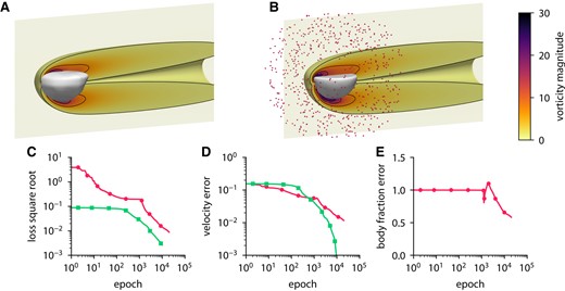 Inferring body shape from velocity measurements for a flow past a hemisphere using ODIL. A, B) Inferred (A) and reference (B) body shape and contours of vorticity magnitude. The velocity measurements are imposed in 684 points (red dots) chosen at a distance from the body. C–E) History of the square root of the loss (C), root-mean-square error in x-velocity (D), and body fraction χ normalized by the mean of reference (E) for the inverse problem and forward problem . The error is relative to the solution of the forward problem after 10,000 epochs.