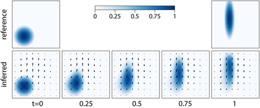 Inferring the velocity field from two snapshots of a tracer. The tracer satisfies the advection equation with an unknown velocity, and the reference tracer is imposed at the first and final time instants. Arrows show the inferred velocity field.