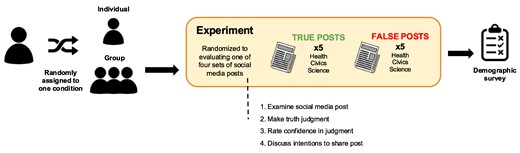 Experimental procedure.