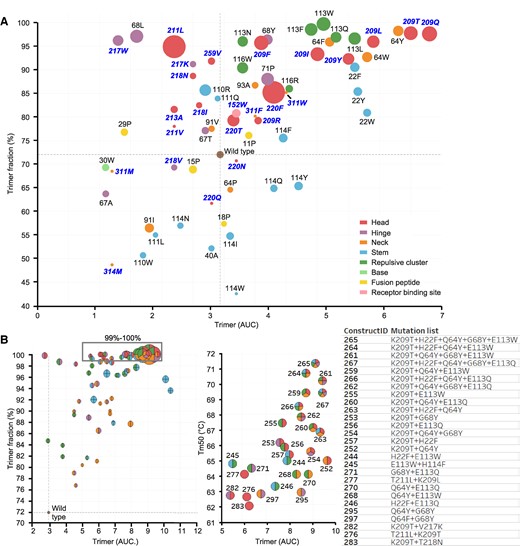 Characterization of HA variants containing stabilizing substitutions. HA trimer expression using analytical SEC and thermal stability using DSF of cell culture supernatant of Expi293F cells expressing influenza B virus HA (Fig. S2). A) A plot of trimer expression level against trimer:monomer ratio for each mutant is shown. The radius of markers is relative to the melting temperatures (Tm50) as measured by DSF. WT is indicated in brown at the cross hair. Markers are colored by different regions, including the regions of instability. Labels show residue number for HA1 (bold italic in blue) and HA2 (black). B) Plot of trimer expression level against trimer:monomer ratio for combinations of stabilizing substitutions with marker radius relative to Tm50. Markers are shown as pie charts with the colors according to the region of the stabilizing substitution as in (A) (left panel). Fully trimeric variants are boxed in the left panel and represented in the right panel plot showing trimer expression level against Tm50. Markers are colored pie charts with color shades corresponding to the region of the stabilizing mutations.