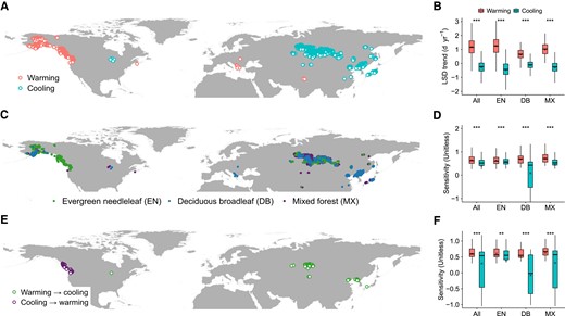 Grid cells of remotely sensed data in which there was autumn warming and cooling during the period (2004–2018) and analyses of forest biome LSD responses. A) Location of autumn warming and cooling grid cells. B) Trends in biome LSD. C) Location of forest biome types that experienced warming and cooling, based on the MODIS MCD12C1 IGBP land cover product. D) Ridge regression analysis of biome LSD sensitivity to temperature, controlling for effects of precipitation and radiation. E) Location of grid cells in which there were shifts in warming and cooling between the period 1989–2003 and 2004–2018. F) Ridge regression analysis of biome LSD sensitivity to temperature. Differences in LSD responses between warming and cooling conditions were analyzed using Student's t test at P < 0.05. Boxplots show median (horizontal line) and mean (cross) data within the 25–75th percentiles; ***P < 0.001, **P < 0.01, and *P < 0.05.