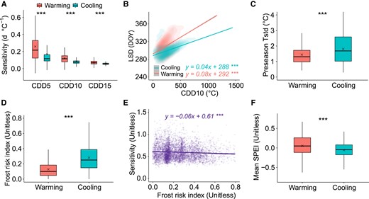 Mechanisms of asymmetric LSD responses to autumn warming and cooling. A) Sensitivities of LSD to CDD under autumn warming and cooling with contrasting CDD base temperatures of 5, 10, and 15 °C (CDD5, CDD10, and CDD15, respectively). B) Linear regression analysis of relations between LSD and CDD10 under autumn warming and cooling conditions; differences in regression slopes tested by covariance analysis at P < 0.001. C) Standard deviation in preseason temperature (Preseason Tstd) under autumn warming and cooling conditions. D) Mean frost risk index under autumn warming and cooling conditions. E) Linear regression analysis of relations between LSD sensitivity to temperature (ridge sensitivity absolute values) and frost risk index. F) Mean SPEI under autumn warming and cooling conditions. Differences between autumn warming and cooling conditions (A, C, D, F) were tested using a linear mixed method with random intercepts among forest biomes. Boxplots show median (horizontal line) and mean (cross) data within the 25–75th percentiles; ***P < 0.001, **P < 0.01, and *P < 0.05.
