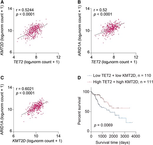 TET2–KMT2D axis correlates with prognosis of HCC. A–C) Pearson’s correlation of TET2 and KMT2D (A), TET2 and ARID1A (B), or KMT2D and ARID1A (C) in LIHC of TCGA database. The datasets show the gene-level transcription estimates, as in log2(x + 1)-transformed RSEM normalized count. D) TET2–KMT2D axis harbors potential significance for prognosis of LIHC. The combination of TET2 and KMT2D expression is a potential marker for prognosis of LIHC. LIHC samples from TCGA database were divided based on the expression of TET2 and KMT2D and the prognosis of these groups was analyzed.