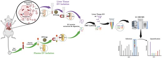 パデュー大学の研究者が薬物反応をサンプリングする非侵襲的な方法を探求(Purdue researchers explore noninvasive method for sampling drug response)