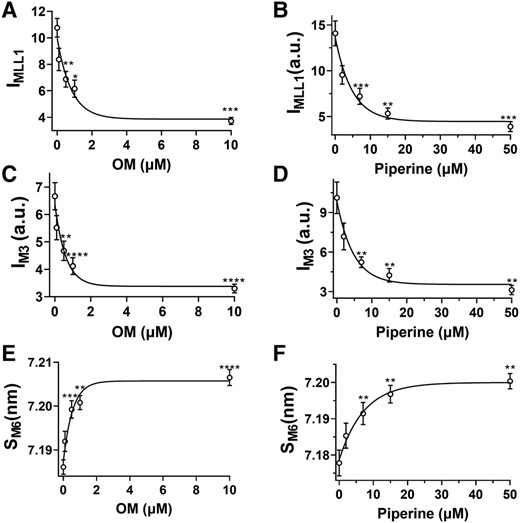 Thick filament structural changes in the presence of myosin activators. The intensity of the first-order myosin-based layer line (IMLL1) in different concentrations of OM A) and piperine B). The third-order myosin-based meridional reflection (IM3) in different concentrations of OM C) and piperine D). The spacing of the sixth-order myosin-based meridional reflection (SM6) in different concentrations of OM E) and piperine F). Myosin heads move from the helically ordered OFF states to disordered ON states as activator concentration increases. The results are given as mean ± SEM with P-values were calculated from one-way repeated measures ANOVA with Dunnett's multiple comparison test compared with control. *P < 0.05, **P < 0.01, ***P < 0.001, ****P < 0.0001.