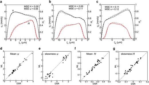 a–c) comparison of ML prediction and DSR data for three isolated bifurcations in 2d. Black curves are for u, and red for H. Dash curves represent ML and solid curves represent DSR. The mean and skewness of u and H profiles are compared in (d–g).