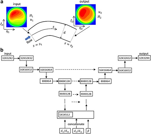 a) Schematic of 3D prediction. b) U-net model for a bifurcation. The left-hand side is the contraction (encoder) path, and the right side is the expansion (decoder) path. Each horizontal continuous arrow represents two consecutive convolutions, downward arrow represents max-pooling and upward arrow represents transposed convolutions. The horizontal dashed arrow represents concatenation of the output of the transposed convolution layers with the feature maps from the encoder.