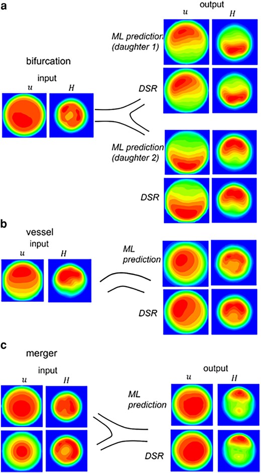 3D ML prediction in isolated bifurcations, vessels, and mergers. The left column is u and H at an upstream location used as input to the model. The right column is the output. The ML prediction is compared against the DSR data.