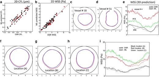 CFL and WSS prediction. a and b) 2D model. Black symbols: individual vascular component; red: vasculature-wide prediction along the paths shown in Fig. 5. c–e) 3D model for individual vascular components. f–i) 3D model for vasculature-wide prediction following the path shown in Fig. 8. The CFL and WSS are shown at three locations (A, B, C) as in that figure. In (c), (d) and (f)–(h) the interface between the plasm layer and RBC-core is shown in color (blue: DSR, red: ML), and the vessel boundary is indicated by black circle. The WSS in 3D prediction is shown along the circumference (horizontal axis in the plot) of the vessel. Numbering of the vessels is given in Figs. 8 and S1.