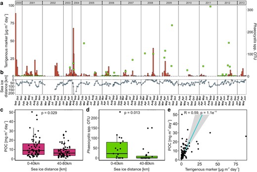 Sediment trap fluxes and sea-ice dynamics measured at the mooring station HG-IV from 2000 to 2013. Panel (a) shows sediment trap mooring fluxes of terrigenous marker (orange bars) and Phaeocystis OTUs (green squares). Panel (b) shows the average distance of the sea-ice edge (defined as ≥15% sea-ice cover) to the mooring location. Panels (c) and (d), respectively, show POC flux and sequence abundance of Phaeocystis OTUs at HG-IV, grouped according to the distance of the sea-ice edge at the time of individual flux measurements. Panel (e) shows fluxes of POC against terrigenous marker collected at HG-IV (linear regression, gray area shows the 95% confidence interval). No sediment trap was deployed at HG-IV between July 2003 and June 2004 which led to the missing flux measurements in panels (a) and (b) (see Table S1 for details). Due to irregular sampling frequency, the sampling months are stated in panel (a). For panels (c to e) only flux values during the productive season from March to September were used.