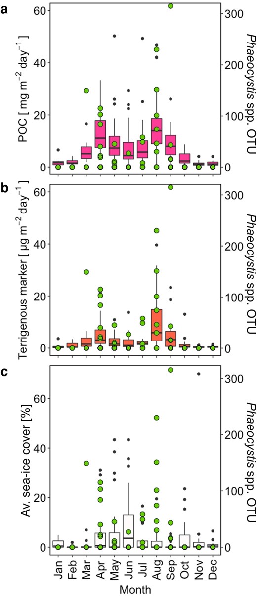Monthly sediment trap fluxes and sea-ice cover measured at the mooring station HG-IV from 2000 to 2013. Panels (a) and (b) depict the monthly POC and terrigenous marker flux. Panel c shows the monthly average sea-ice cover over the mooring location at HG-IV. Green circles in panels (a–c) show the sequence abundance of Phaeocystis OTUs in the sediment trap samples.