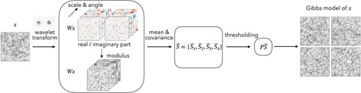 Steps to build a feasible model for a random field x from only one or a few realizations. We first build a low-dimensional representation Φ(x) of the random field, which specifies a maximum entropy model. The representation Φ(x) is obtained by conducting the wavelet transform Wx and its modulus |Wx|, and then computing the means and covariance of all wavelet channels (Wx,|Wx|). Such a covariance matrix is further binned and sampled using wavelets to reduce its dimensionality, which is called the scattering spectra S¯(x). Finally, These scattering spectra are renormalized and reduced in dimension by thresholding its Fourier coefficients along rotation and scale parameters Φ(x)=PS¯, making use of the regularity properties of the field. For many physical fields, this representation can be as small as only around ∼102 coefficients for a 256×256 field.