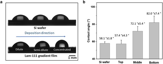 Water contact angle measurements of Si wafer and Lam-111 gradient film. a) Images of three droplets on bare Si wafer and Lam-111 gradient film. b) Results of the water contact angle measurements.