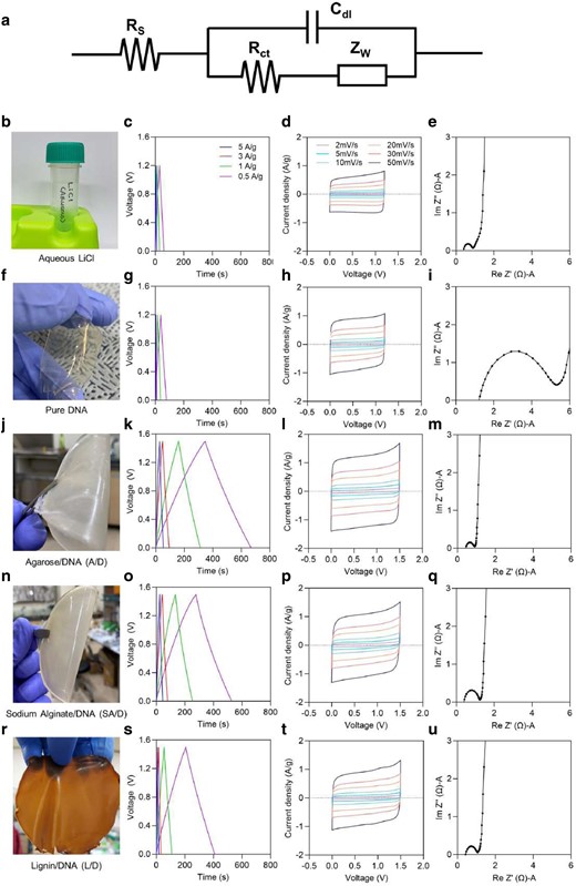 Electrochemical performance and analysis of genomic DNA hybrid gels. Impedance studies were conducted in the frequency range of 100 to 1 MHz by applying an AC potential with an amplitude of 10 mV. The intercept point in the high-frequency range on the real axis represents the resistance of the electrolyte and the internal resistance of the electrode, also called the bulk resistance, and the diameter of the semicircle is attributed to the charge transfer resistance. a) Equivalent circuit of EIS spectra with the device configuration of AC||gel electrolyte||AC (AC—Activated Carbon electrode; gel electrolyte—pristine DNA and DNA hybrid gel electrolytes). Rs is series bulk resistance, Rct is charge transfer resistance, Cdl is double layer capacitance, and Zw is Warburg impedance. b, f, j, n, r) Photographic images of pristine and various DNA hybrid gels. c–e, g–i, k–m, o–q, and s–u) GCD, CV, and EIS curves of aqueous LiCl (200 mM), pure DNA gel, agarose/DNA (A/D), sodium alginate/DNA (SA/D), and lignin/DNA (L/D) hybrid gels with 200 mM LiCl without PEGDA, respectively. All GCD and CV curves were measured with different current densities ranging from 5 to 0.5 A/g and scan rates of 2 to 50 mV/s, respectively. The current density was obtained by dividing the total current by the mass of the two activated carbon electrodes. The GCD profiles and CV curves of the LiCl aqueous solution and the pure DNA gel were obtained from a potential window of 1.2 V, whereas those of the hybrid gels were obtained from a potential window of 1.5 V. In e, i, m, q, and u, they represent the Nyquist plot of the high-frequency region. Hydrogels that do not use PEGDA cross-linkers showed strong ionic conductivity, making them more efficient electrolyte materials for high-performance energy storage devices. The hydrophilic groups (–OH) and ether groups (–O–), which are abundant in agarose, can interact with aqueous electrolytes and provide many ion migration sites and high ionic conductivity, leading to significant specific capacitance.