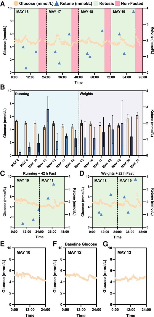 Continuous monitoring of biomarkers with intermittent fasting and fitness regimen. A) Four-day continuous monitoring of blood glucose and ketone trajectories. B) The comparison of recorded blood glucose and ketone levels with different fitness regimen (running and weights) in a 2-week period (glucose: N = 34–96; ketone: N = 2–4; daily). Wilcoxon rank-sum test determined statistically significant difference between glucose levels as a result of running and weights training (running: N = 600; weights: N = 564; P < 0.001). However, no statistically significance was detected for ketone levels as a result of the interventions (running: N = 16; weights: N = 18). C, D) Blood glucose and ketone profiles with interventions consisting of fitness regimen (running or weights) and intermittent fasting (42 h or 22 h) in a 2-day period. E, F, G) Subject N001's baseline glucose. Glucose and ketone levels were measured using a CGM and a finger sticking device in May 2023, respectively. Data can be found in Dataset S1 and Fig. S2.